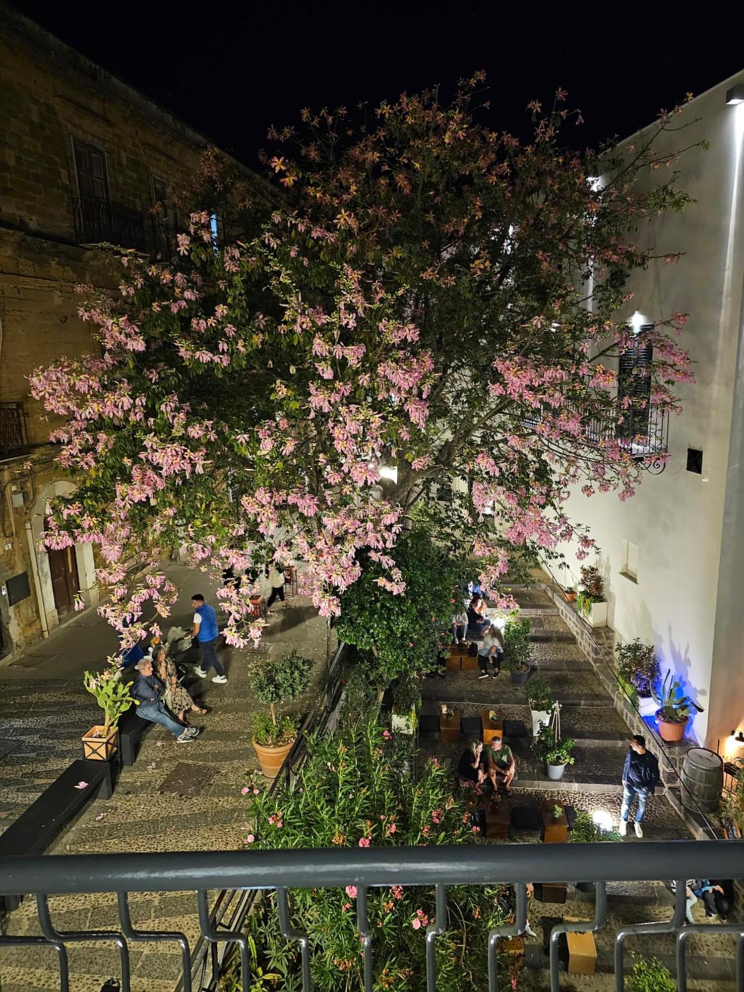 Villa Di Giorgi Apartments Center 체팔루 외부 사진